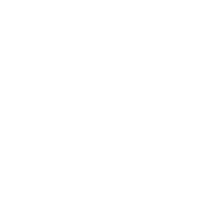Netymedia Logo